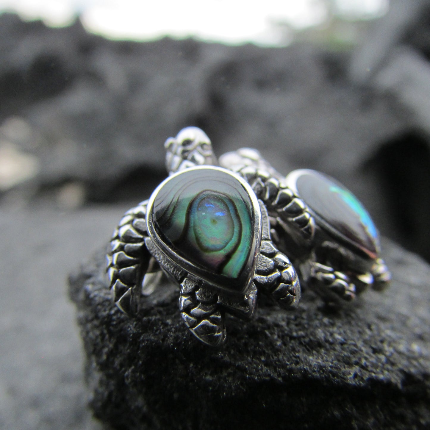 Sea Turtle Stud Earrings | Abalone  Paua Shell | Ocean | Beach | Gift | Jewelry | Handmade | Unique | Sterling Silver